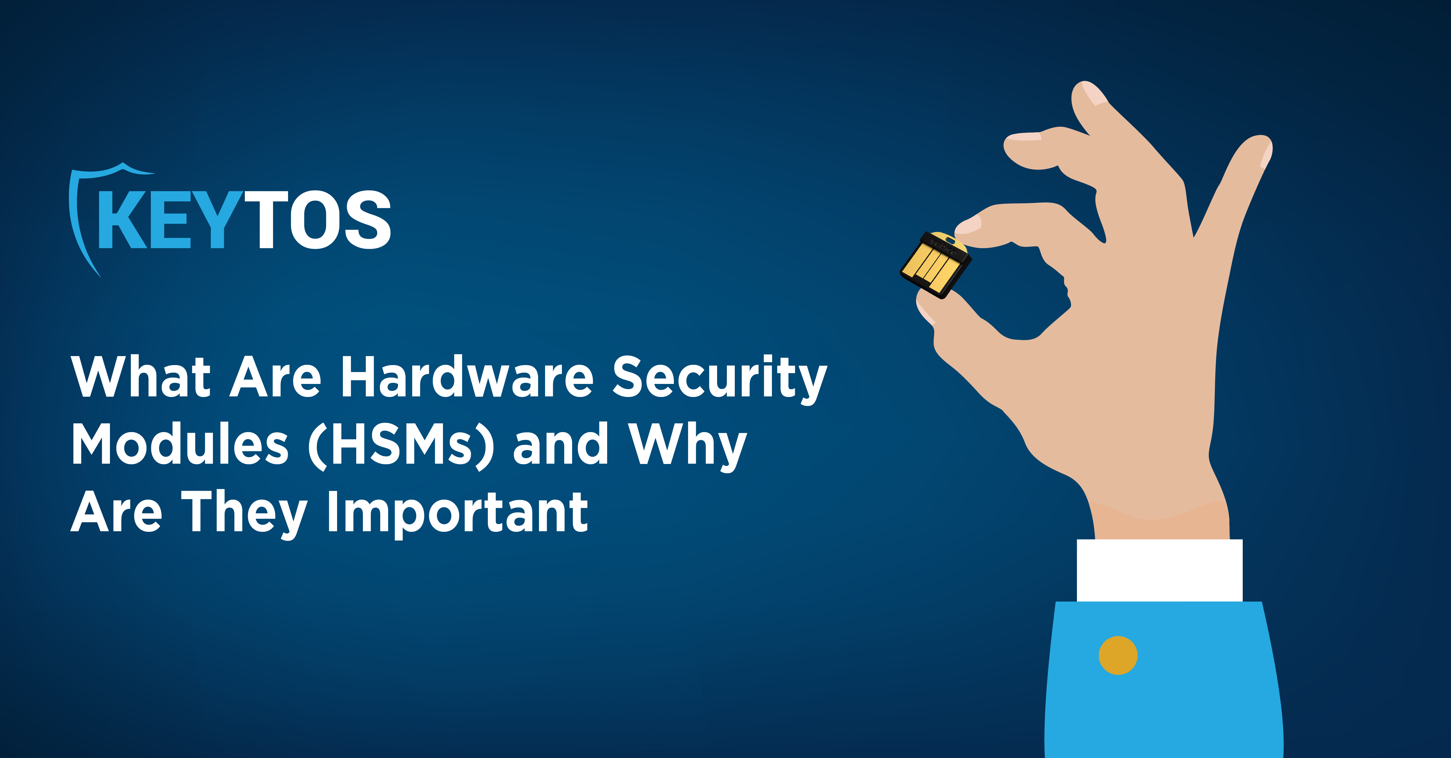 What Are Hardware Security Modules (HSMs) and Why Are They Important?