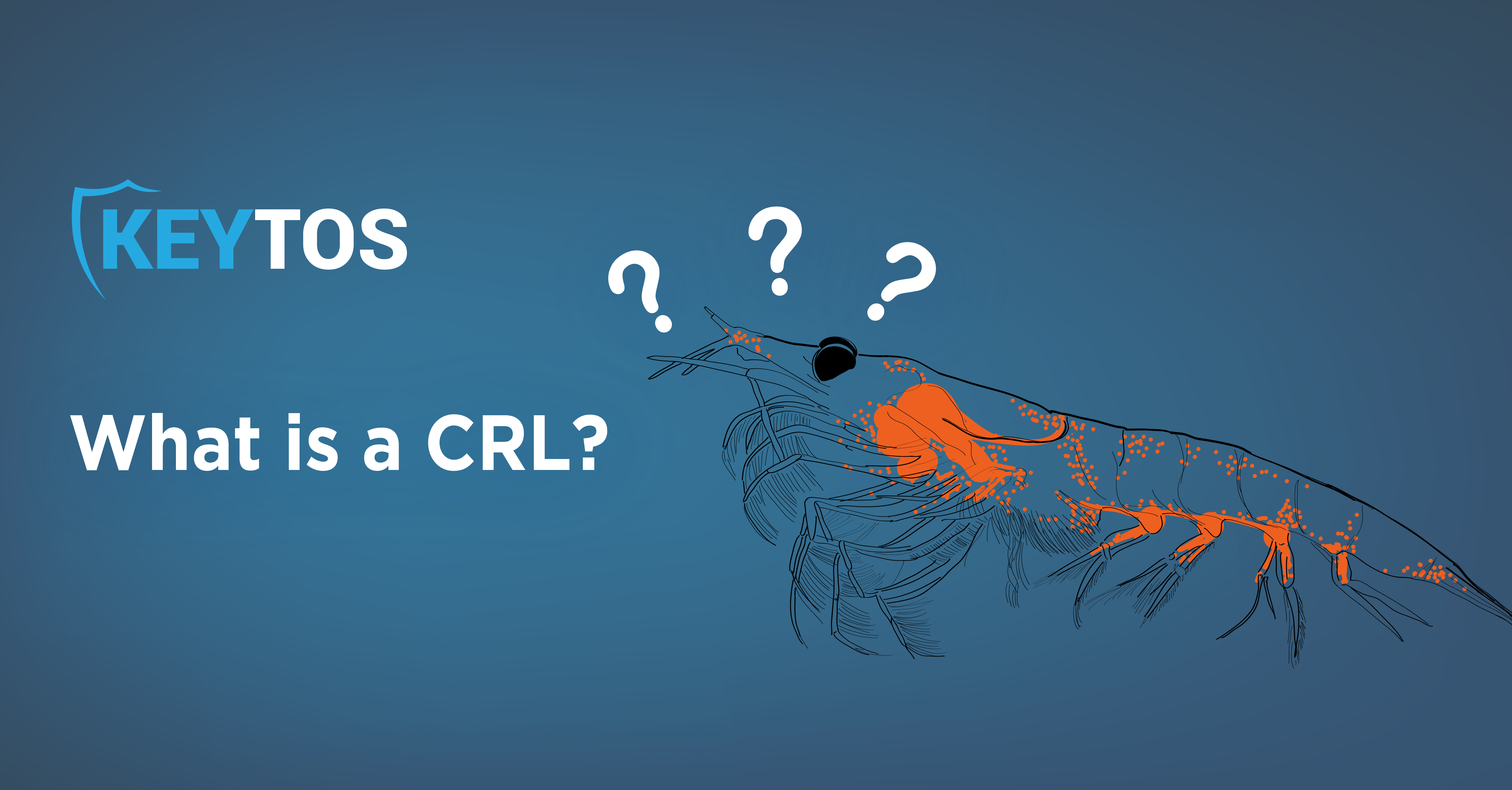 What is a CRL (Certificate Revocation List)?
