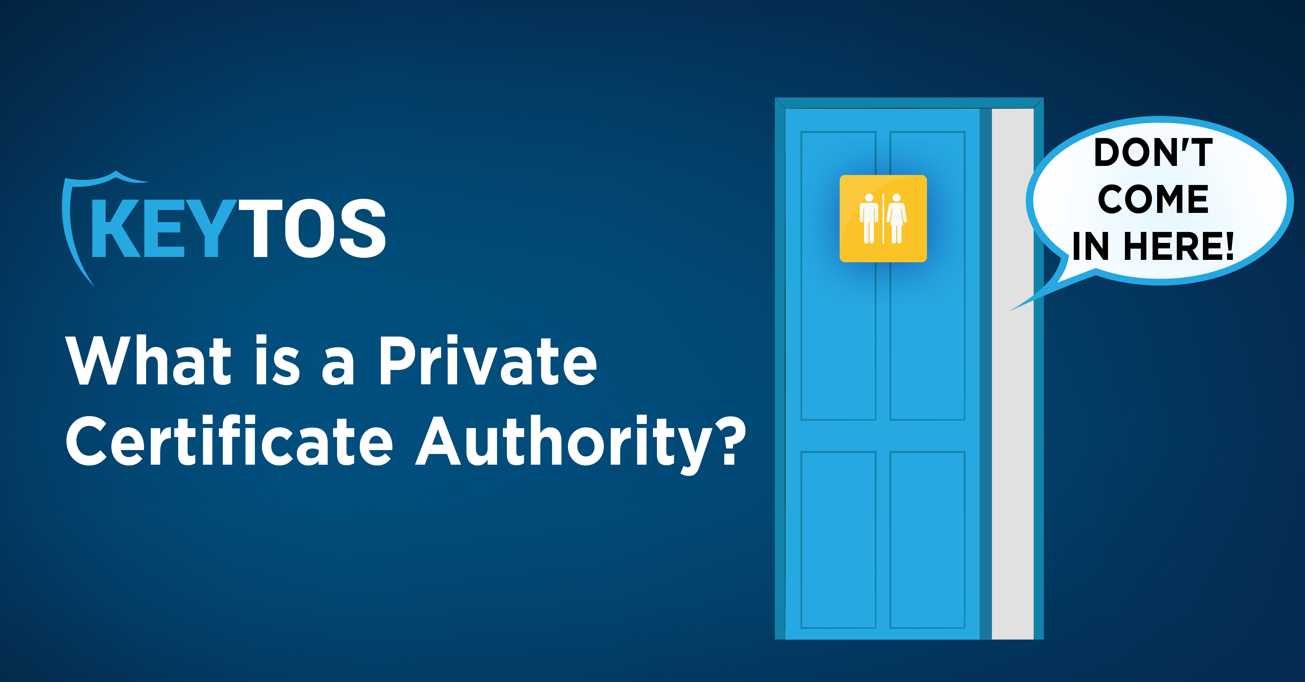 ¿Qué es una CA privada?