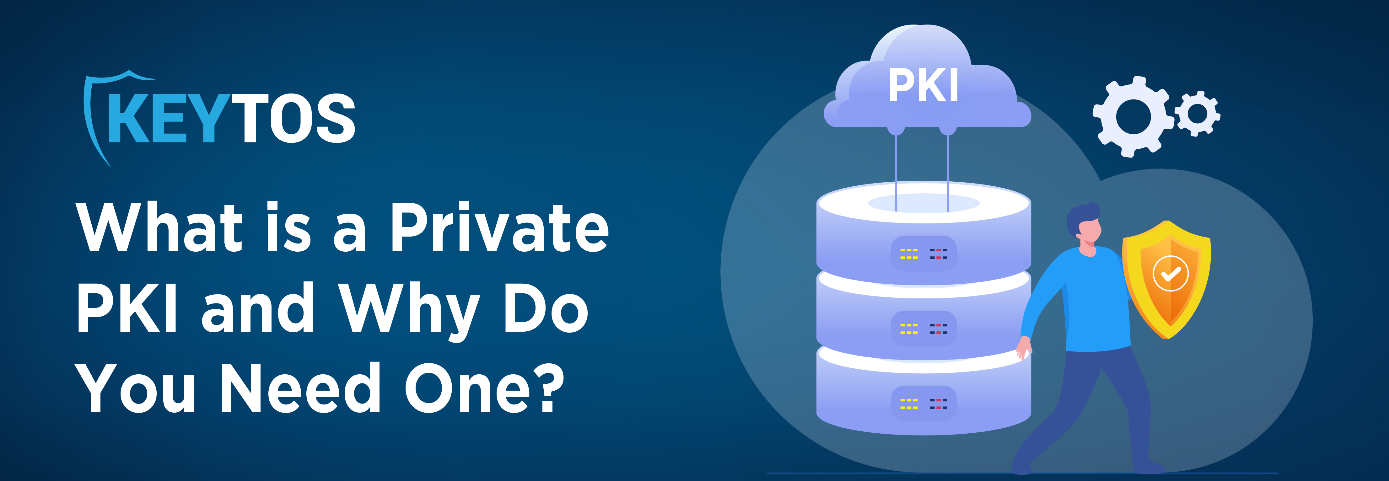 ¿Qué es una PKI privada? ¿Por qué necesitas una PKI privada? PKI privada explicada.