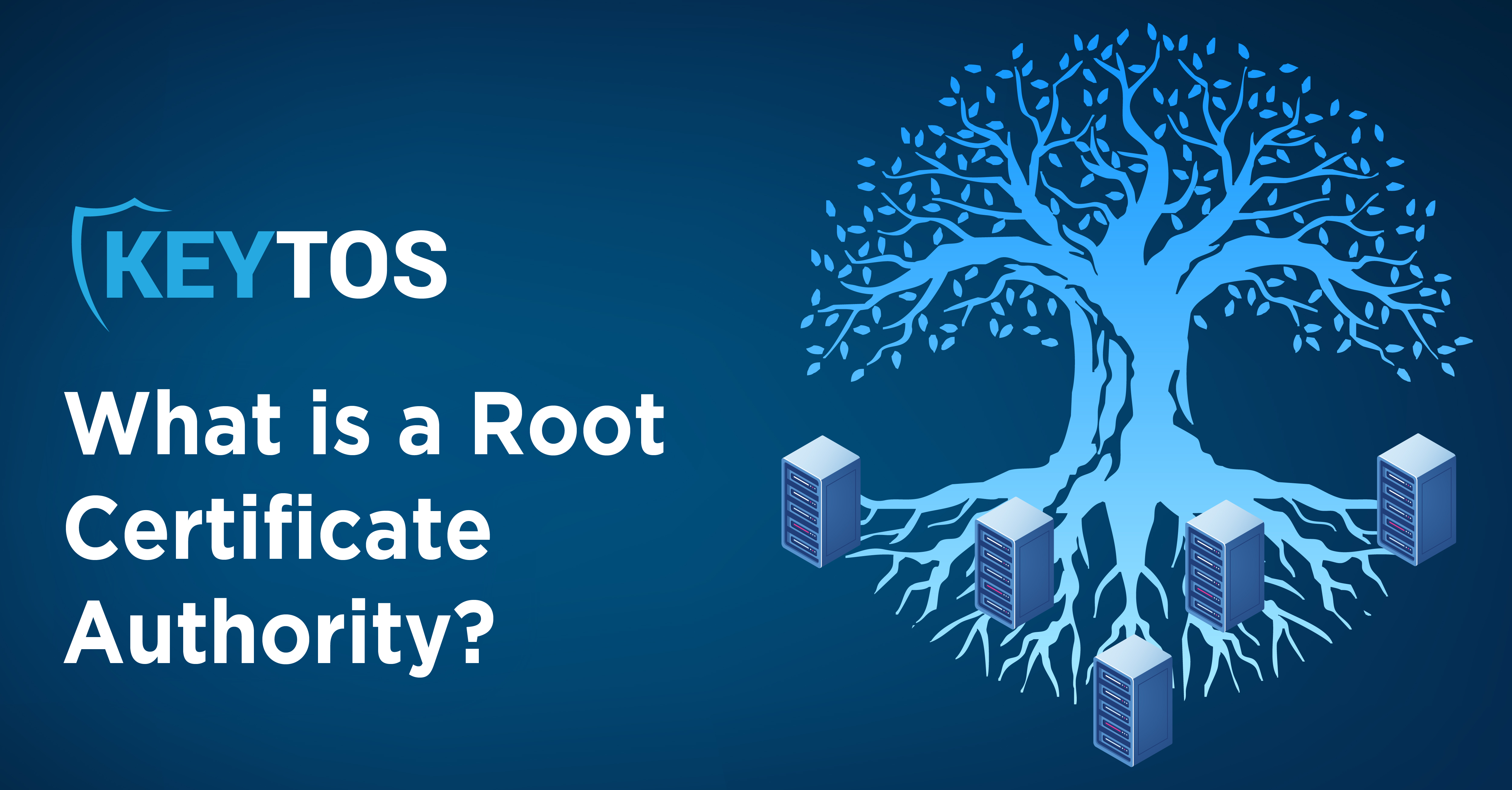 What is a Root CA?