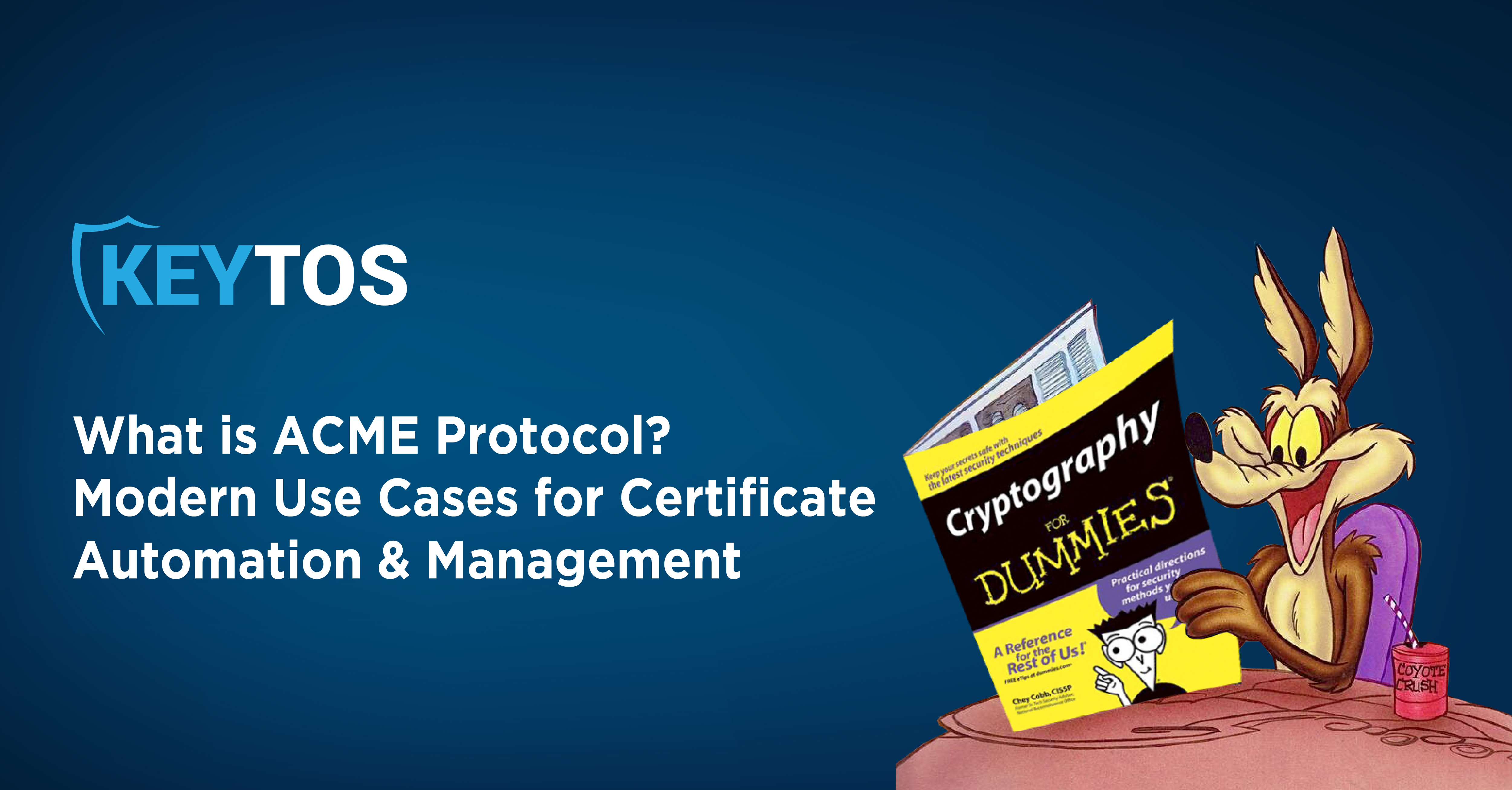 What is ACME Protocol? Modern Use Cases for Certificate Automation & Management