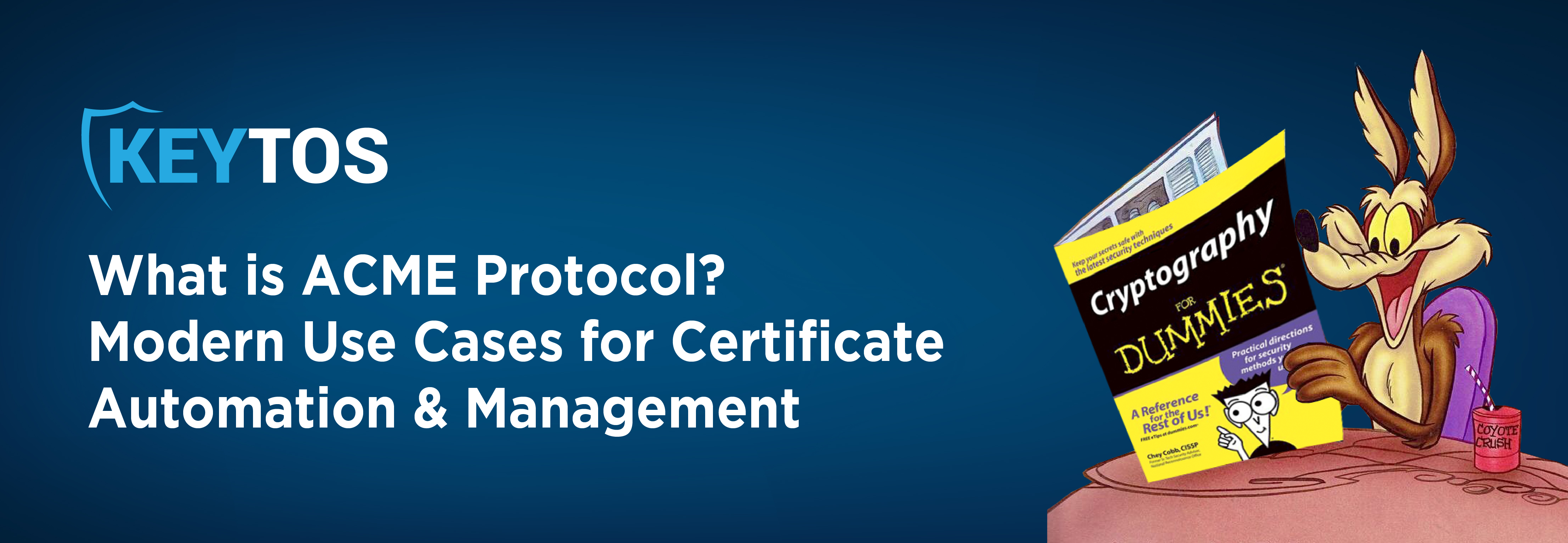 ¿Qué es el protocolo ACME? Casos de uso modernos para la automatización y gestión de certificados